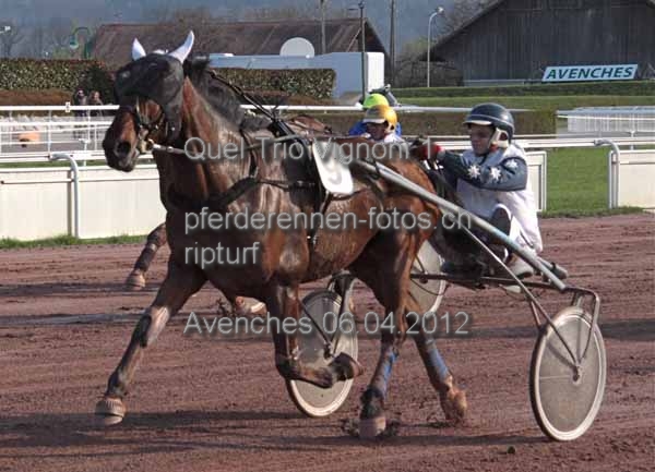 Quel Trio Vignoni 1 prot